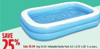 Canadian Tire H20go! inflatable family pool offer