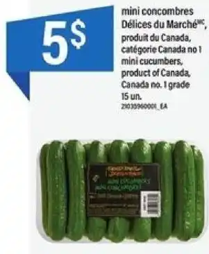 Maxi mini concombres offer