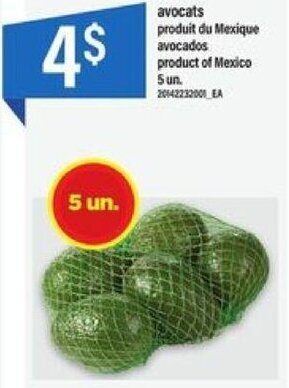 Maxi avocados offer