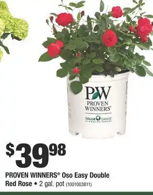 Home Depot Proven winners® oso easy double offer