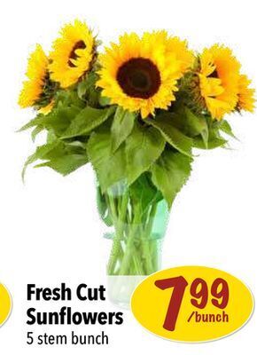 Farm Boy Fresh cut sunflowers offer