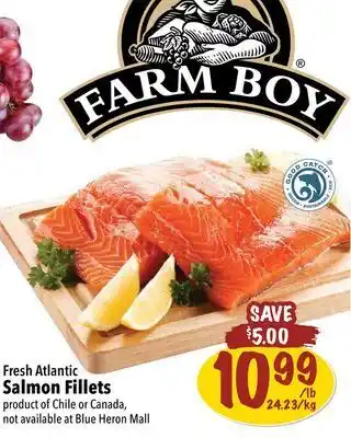 Farm Boy Fresh atlantic salmon fillets offer