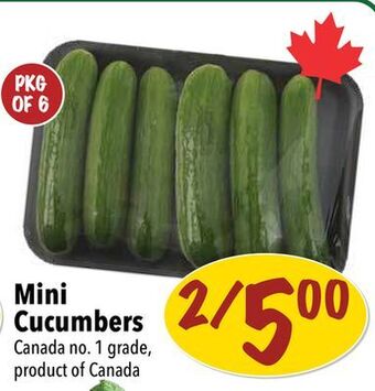 Farm Boy Mini cucumbers offer