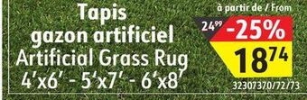 Sushi Shop Artificial grass rug offer