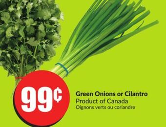 Chalo FreshCo Green onions or cilantro product of canada offer