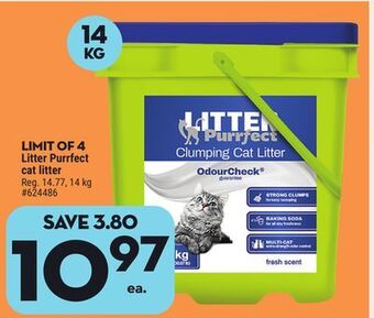 Giant Tiger Litter purrfect cat litter offer
