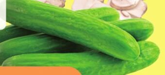 Giant Tiger 340 g mini cucumbers offer