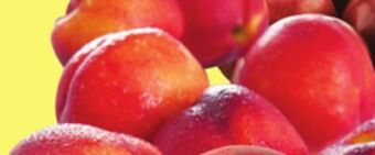 Giant Tiger 2 lb nectarines offer