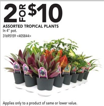 RONA Assorted tropical plants offer