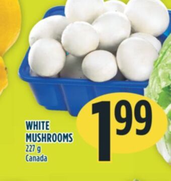 Marché Adonis White mushrooms offer