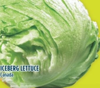 Marché Adonis Iceberg lettuce offer