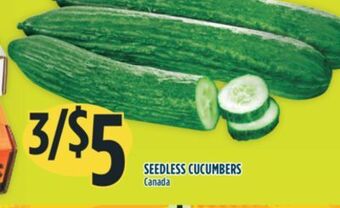 Marché Adonis Seedless cucumbers offer