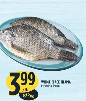 Marché Adonis Whole black tilapia offer
