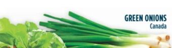 Marché Adonis Green onions offer
