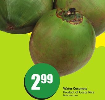 FreshCo Water coconuts product of costa rica offer