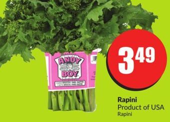 FreshCo Rapini product of usa offer