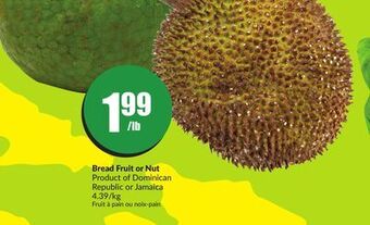 FreshCo Bread fruit or nut product of dominican republic or jamaica 4.39/kg offer