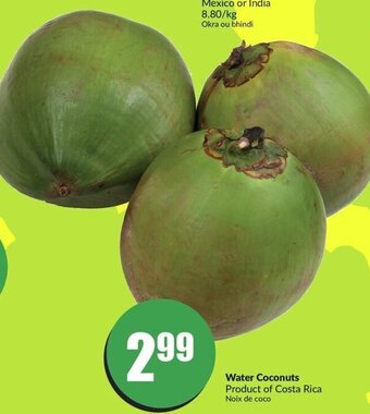 FreshCo Water Coconuts offer