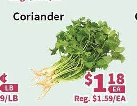 Blue Sky Supermarket Coriander offer
