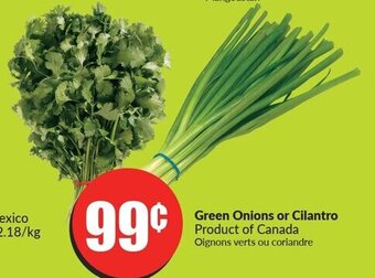 FreshCo Green Onions or Cilantro Product of Canada Oignons verts ou coriandre offer