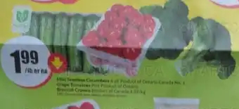 FreshCo Mini Seedless Cucumbers, Grape Tomatoes and Broccoli Crowns offer