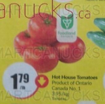 FreshCo Hot House Tomatoes offer