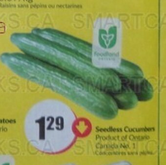 FreshCo Seedless Cucumbers offer