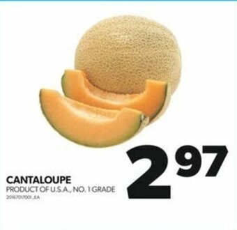 Real Canadian Superstore CANTALOUPE offer