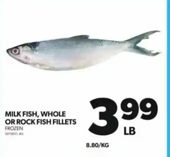Real Canadian Superstore MILK FISH, WHOLE OR ROCK FISH FILLETS offer