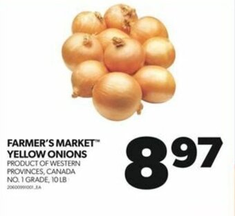 Real Canadian Superstore FARMER'S MARKET YELLOW ONIONS offer