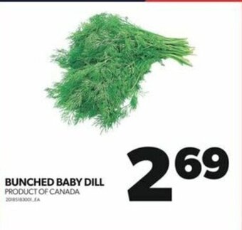 Real Canadian Superstore BUNCHED BABY DILL offer