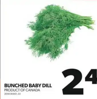 Real Canadian Superstore BUNCHED BABY DILL PRODUCT OF CANADA offer