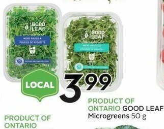 Sobeys PRODUCT OF ONTARIO Cabbage 2.84/kg offer