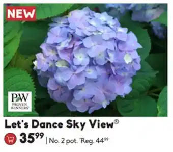 Let's dance sky view®