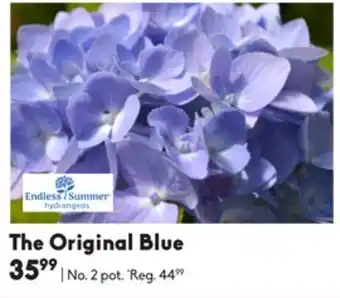 The original blue