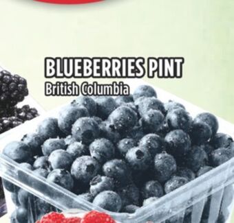 Marché Adonis Blueberries pint offer