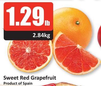 Starsky Sweet red grapefruit offer