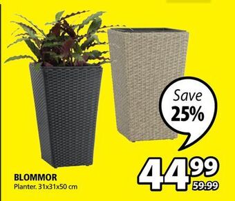 JYSK Blommor planter offer
