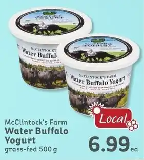 IGA McClintock's Farm Water Buffalo Yogurt 500g offer