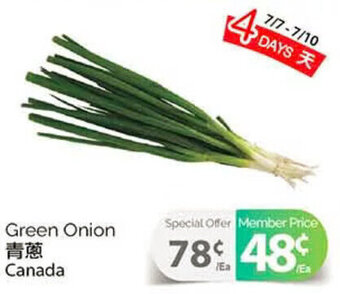 T&T Supermarket Green Onion offer