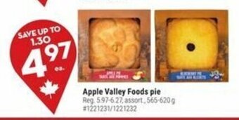 Giant Tiger Apple Valley Foods pie offer