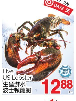 T&T Supermarket Live us lobster offer