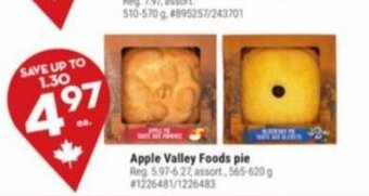 Giant Tiger Apple Valley Foods pie offer