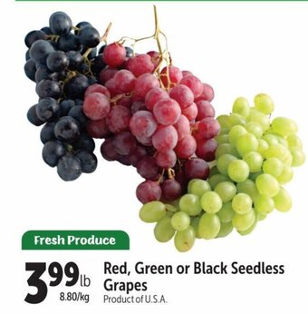 Family Foods Red, Green or Black Seedless Grapes offer