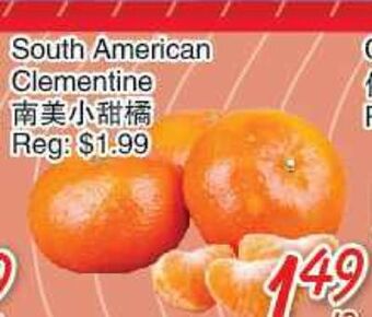 Foody Mart South american clementine offer