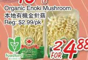 Foody Mart Organic enoki mushroom offer