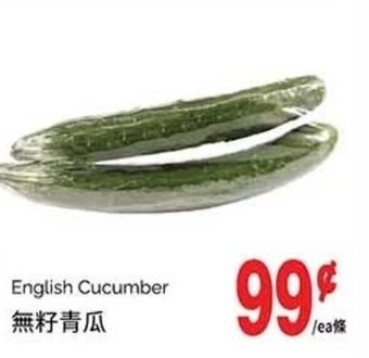 T&T Supermarket English Cucumber offer