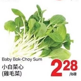 T&T Supermarket Baby Bok-Choy Sum offer
