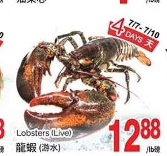 T&T Supermarket Lobsters (Live) offer