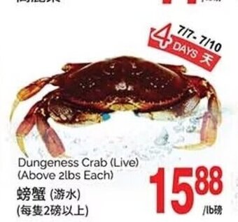 T&T Supermarket Dungeness Crab (Live) offer